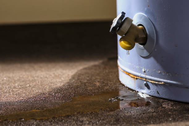 Best Water damage restoration specialists  in Strawberry Plains, TN