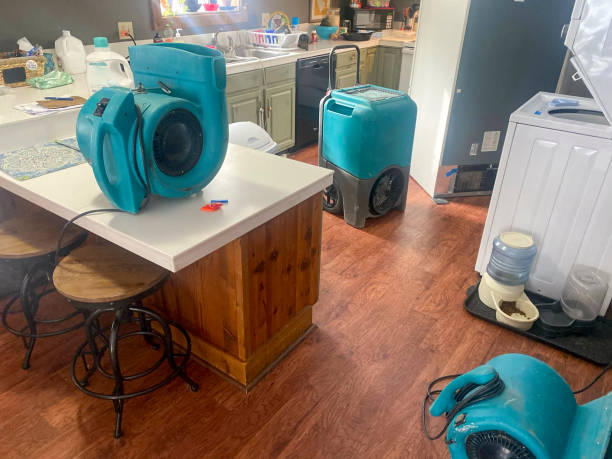 Best Water damage repair service  in Strawberry Plains, TN