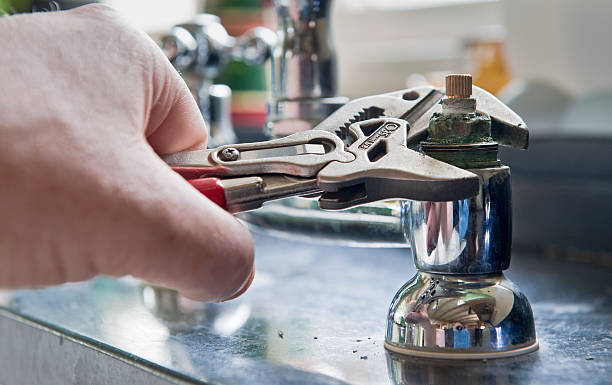 Best Professional water damage repair  in Strawberry Plains, TN
