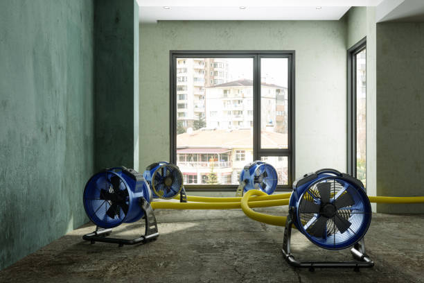 Best Water damage mitigation services  in Strawberry Plains, TN